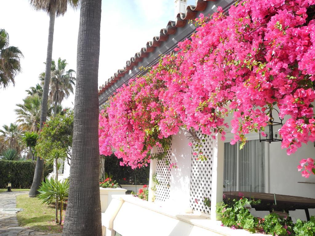 Dominion Apartments Estepona Extérieur photo