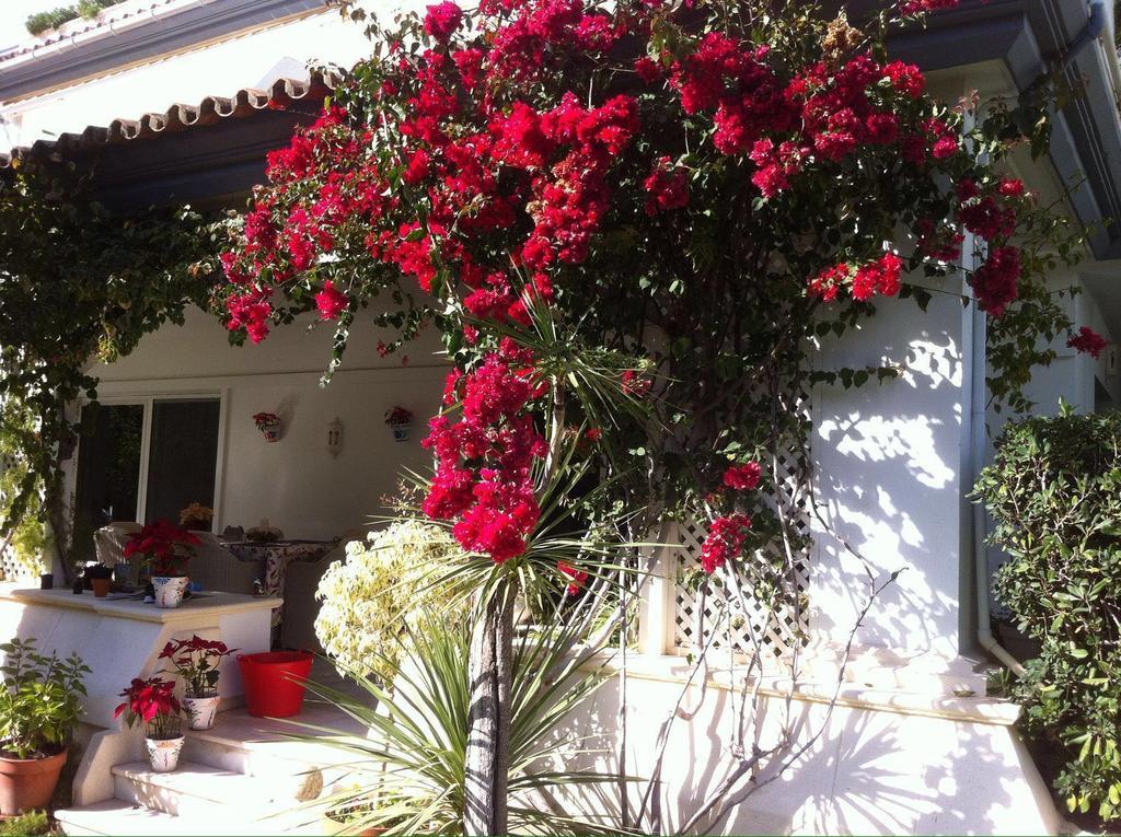 Dominion Apartments Estepona Extérieur photo